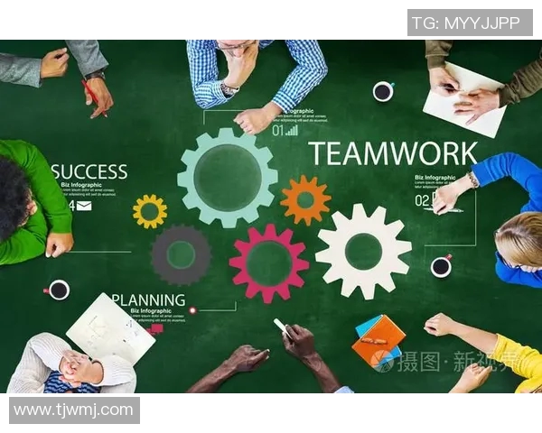 北京飞盘队团队协作表现的深入数据分析与探讨